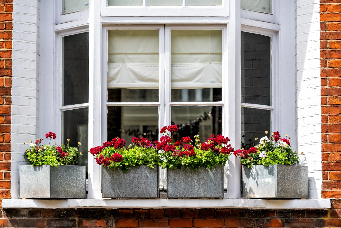 Bay & Bow Window System Installations | NY Metro, Tri-State | Window King A beautiful bay window extending outward from a brick and white-painted home façade. The multi-pane window structure is framed in white and features three large sections, allowing natural light to flood the interior. Below the windows, four galvanized metal flower boxes are brimming with vibrant red and white geraniums and greenery, adding a colorful, welcoming touch to the exterior. The scene highlights both architectural elegance and warm curb appeal.