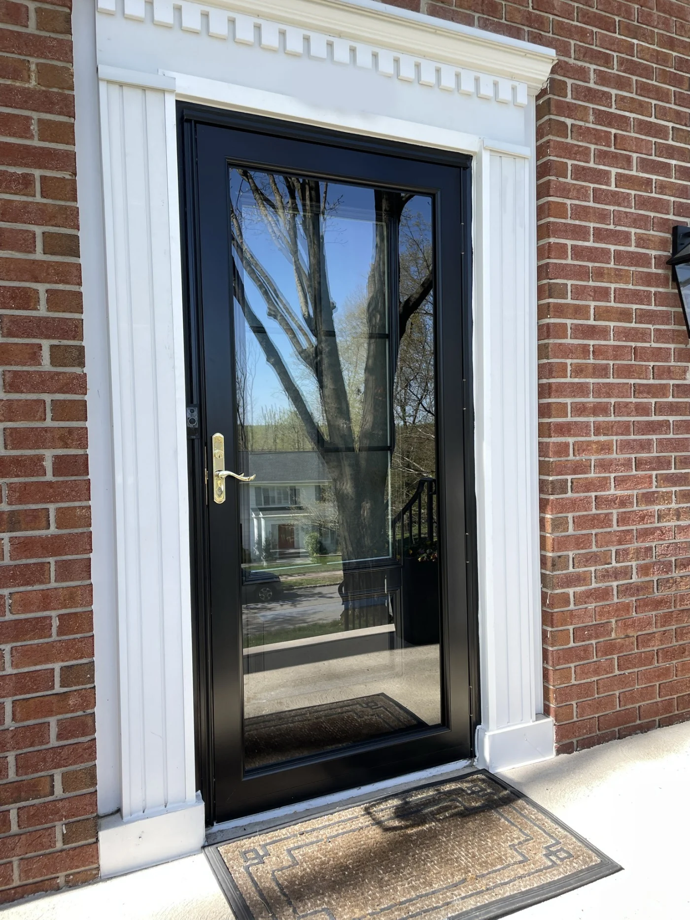 A black ProVia Deluxe storm door with a full-view glass panel, framed by white decorative trim on a red brick exterior. The glass reflects nearby trees and houses, and a patterned welcome mat sits in front of the doorway.