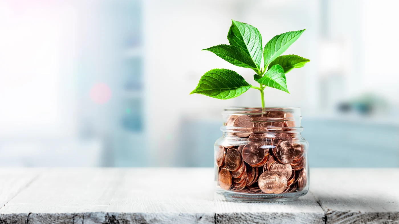 A glass jar filled with coins sits on a white wooden surface, with a green plant sprouting from the top. The background is softly blurred, symbolizing financial growth, stability, and smart investment through Synchrony financing options.