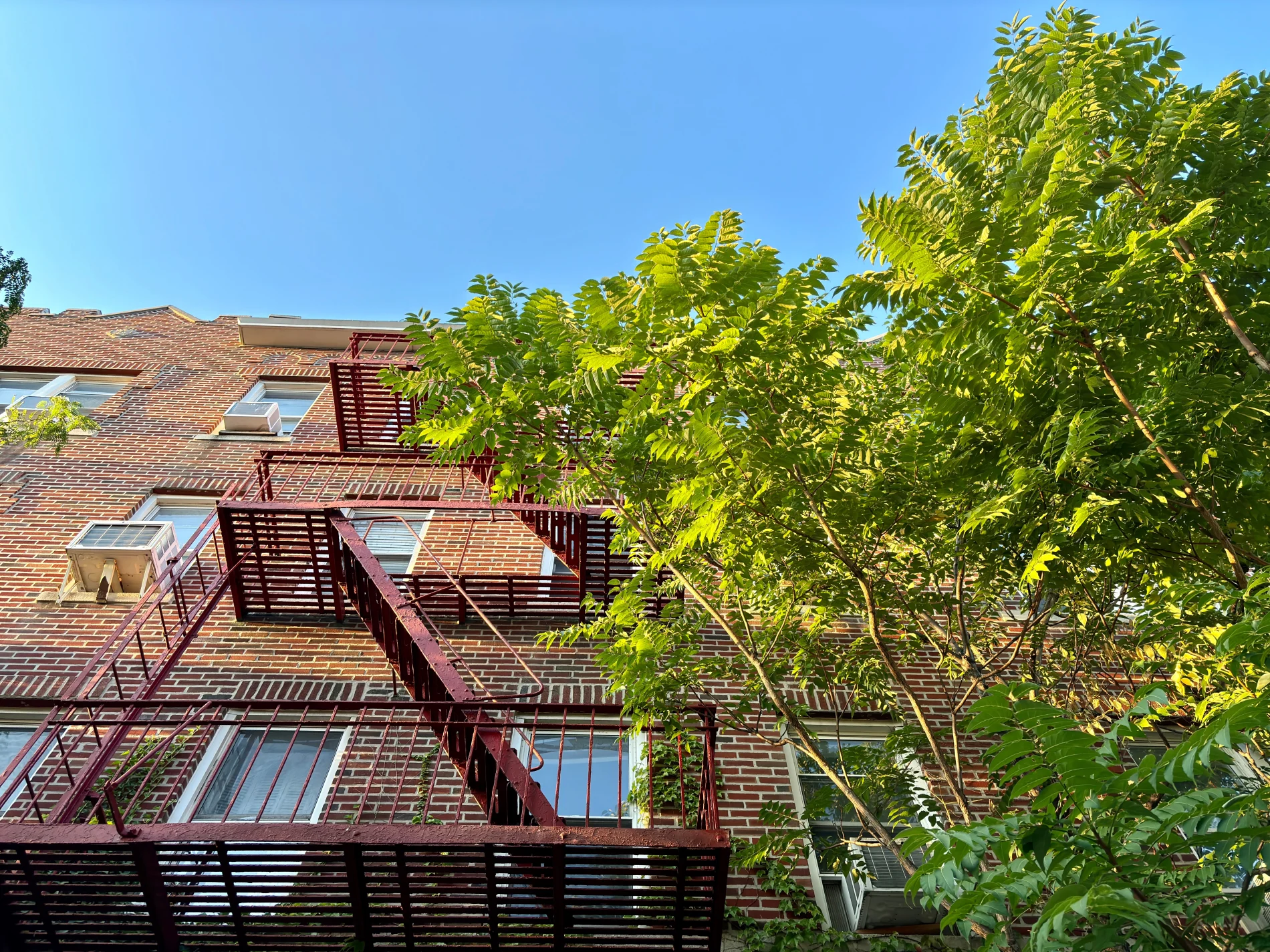 A classic Bronx apartment building with a red-brick façade and a traditional metal fire escape climbing its exterior. Several windows feature air conditioning units, while leafy green trees rise in front of the building, softening the urban setting. The mix of brickwork, fire escape, and greenery captures the everyday character of residential life in the Bronx.