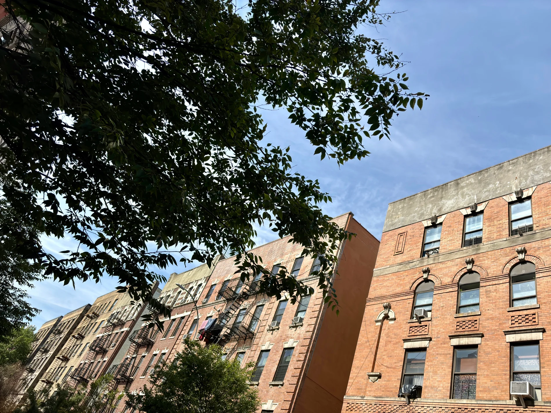 A classic Bronx streetscape featuring rows of historic brick apartment buildings with fire escapes climbing their façades. The architecture reflects the borough’s pre-war character, with arched windows, detailed masonry, and sturdy exteriors. Overhead tree branches frame the shot against a bright blue sky, softening the urban scene and adding a welcoming neighborhood feel.