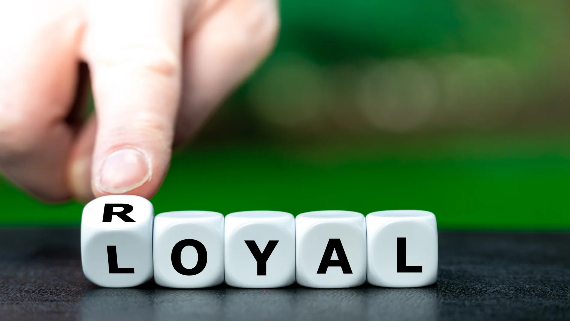 This image shows a close-up of white lettered dice spelling out the word “LOYAL.” A hand is turning the first die, which shows the letter R, suggesting a shift between “ROYAL” and “LOYAL.” The background is blurred green, keeping the focus on the dice and the message of loyalty and royalty.