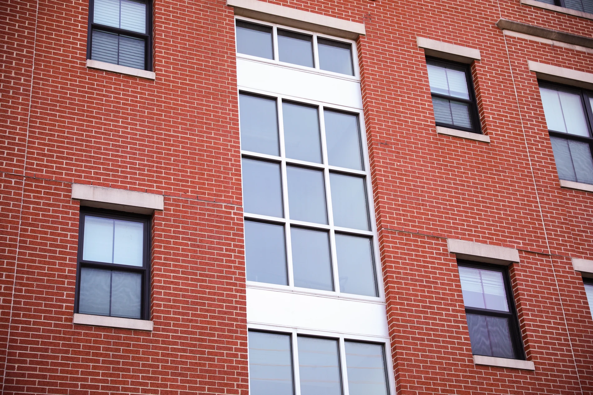 Modern black-framed replacement windows installed in a red brick Brooklyn building, reflecting trees and sky with clean industrial-style design.